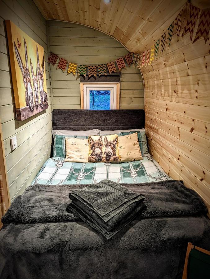 Вілла Emlyn'S Coppice - Luxury Woodland Glamping Холівелл Екстер'єр фото