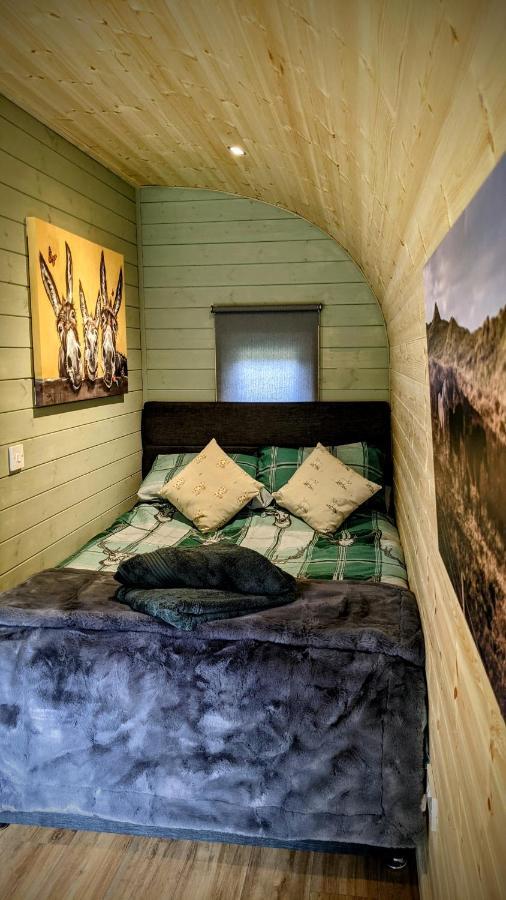 Вілла Emlyn'S Coppice - Luxury Woodland Glamping Холівелл Екстер'єр фото